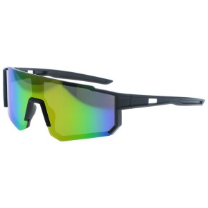 Pastic Sports Sunglasses