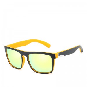 Plastic Sunglasses